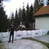 duernkrut_002_small